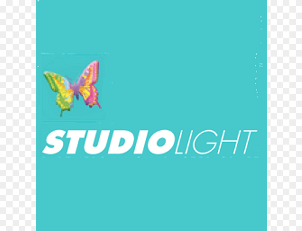 Studio Light, Animal, Bird, Flying, Toy Png Image
