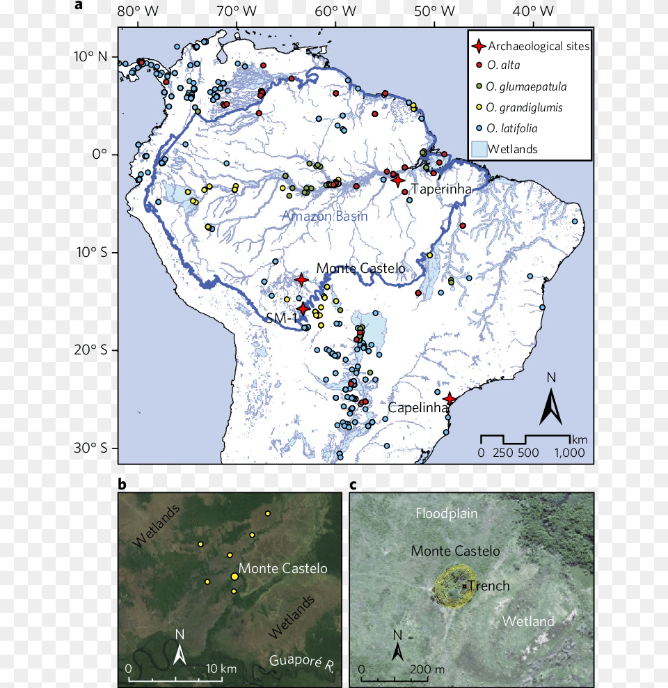 Study Region Atlas, Chart, Plot, Outdoors, Map Free Png