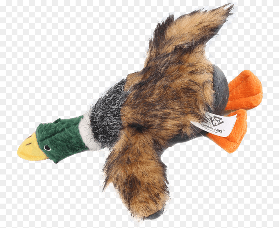 Stuffed Duck Dog Toy Dog Toy, Plush, Animal, Bear, Mammal Png