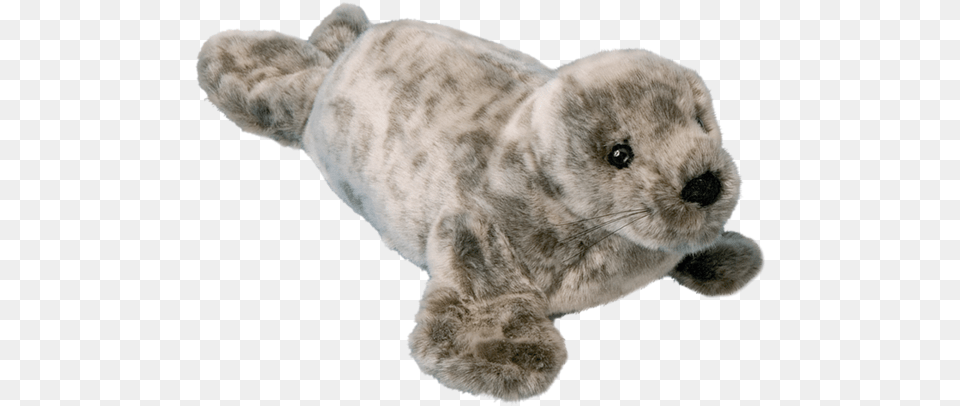 Stuffed Seal, Animal, Mammal, Bear, Wildlife Free Png