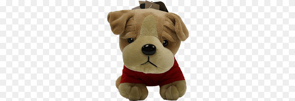 Stuffed Toy, Plush, Teddy Bear Free Png