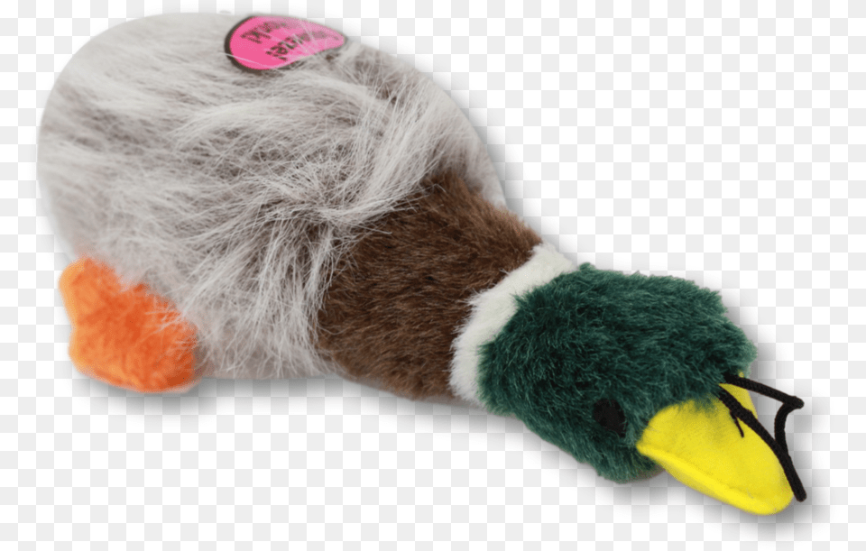 Stuffed Toy, Animal, Beak, Bird, Duck Free Transparent Png