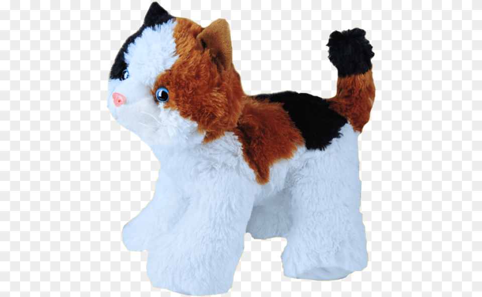 Stuffed Toy, Plush, Animal, Bear, Mammal Png Image
