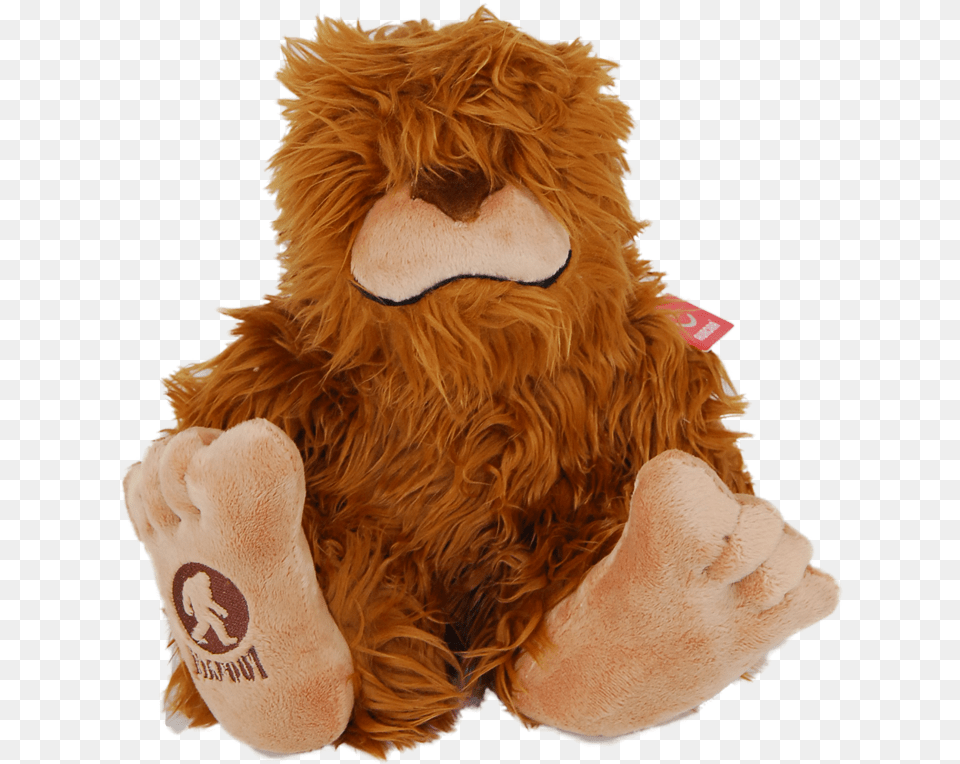 Stuffed Toy, Plush, Teddy Bear, Face, Head Free Transparent Png