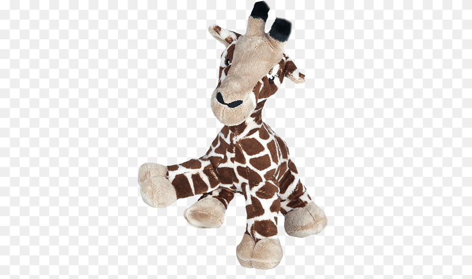 Stuffed Toy, Plush, Animal, Wildlife, Giraffe Png Image