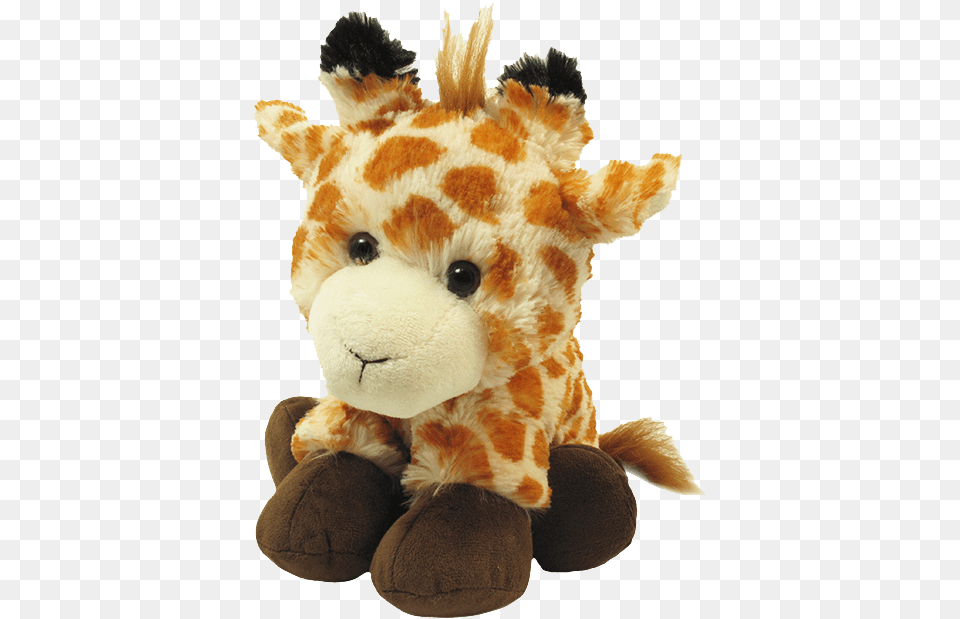 Stuffed Toy, Plush, Teddy Bear Png