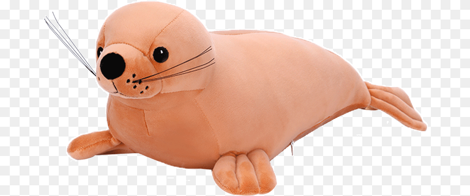 Stuffed Toy, Animal, Sea Life, Mammal, Sea Lion Png Image