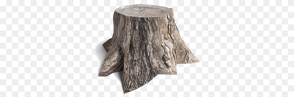 Stump 4 Solid, Plant, Tree, Tree Stump Png Image