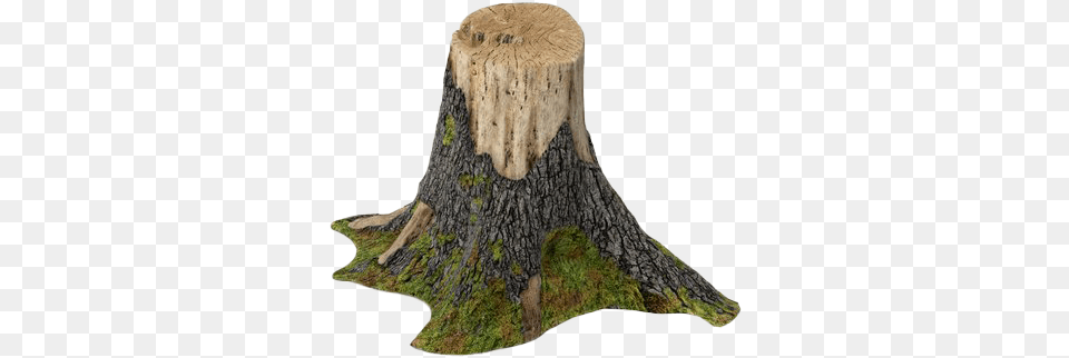 Stump Tree Trunk Background Tree Trunk Stump, Plant, Tree Stump Free Transparent Png