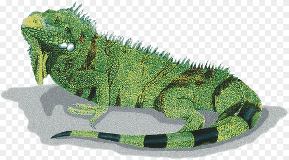 Stunning Don39t You Think The Original Is A Full Body Design, Animal, Iguana, Lizard, Reptile Free Transparent Png