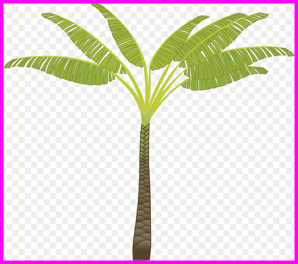 Stunning Island Palm Tree Leaves Plant Jungle Pa Pict Palm Tree Clip Art, Leaf, Palm Tree Free Png Download