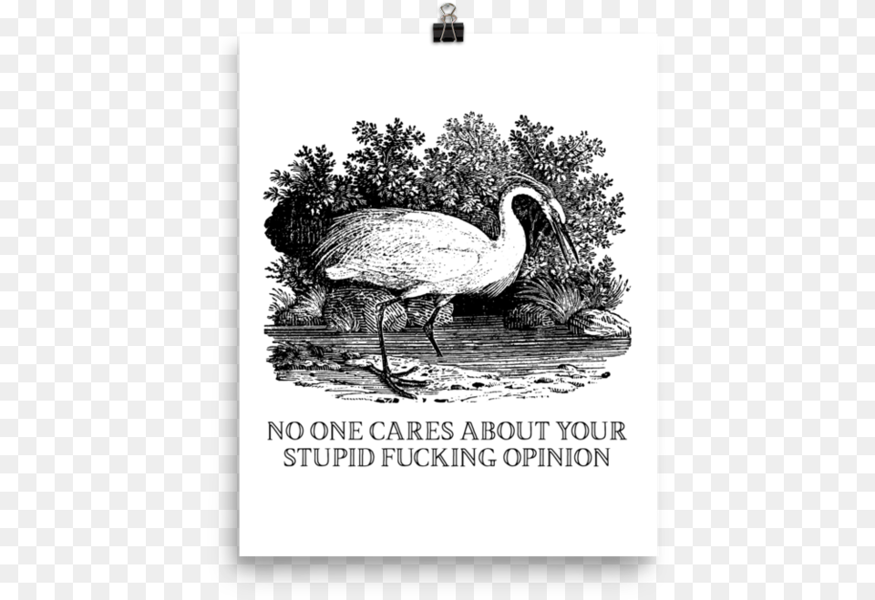Stupid Opinionsrcset Data Film, Animal, Bird, Crane Bird, Waterfowl Free Transparent Png