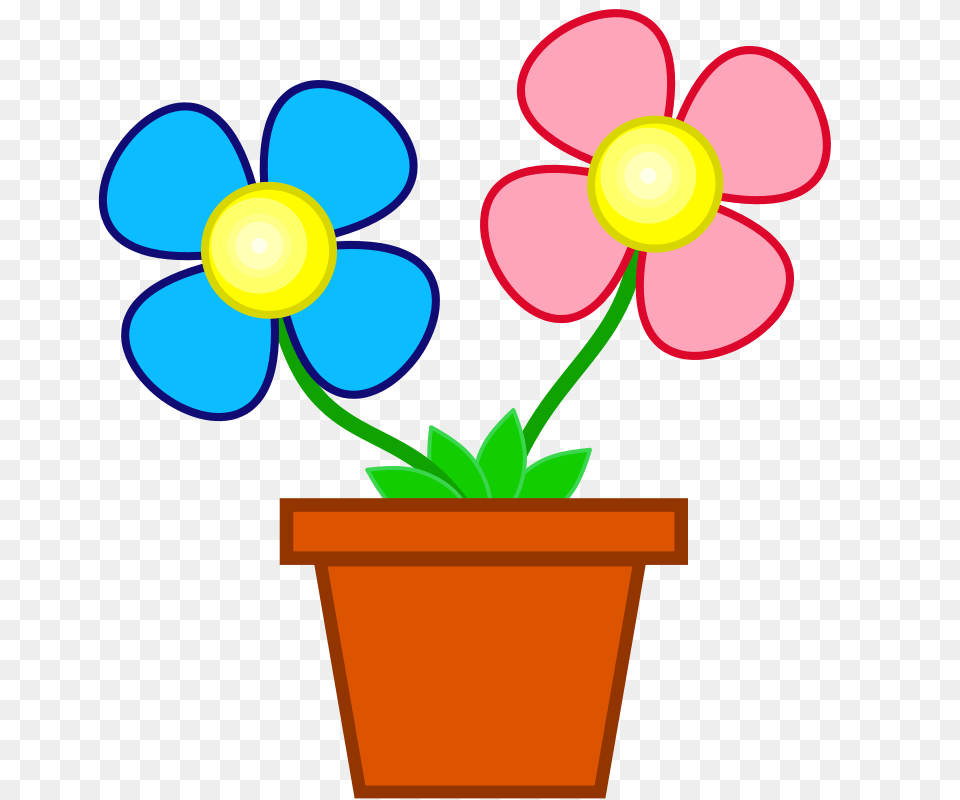 Stuuf Flowers, Petal, Plant, Potted Plant, Flower Free Png