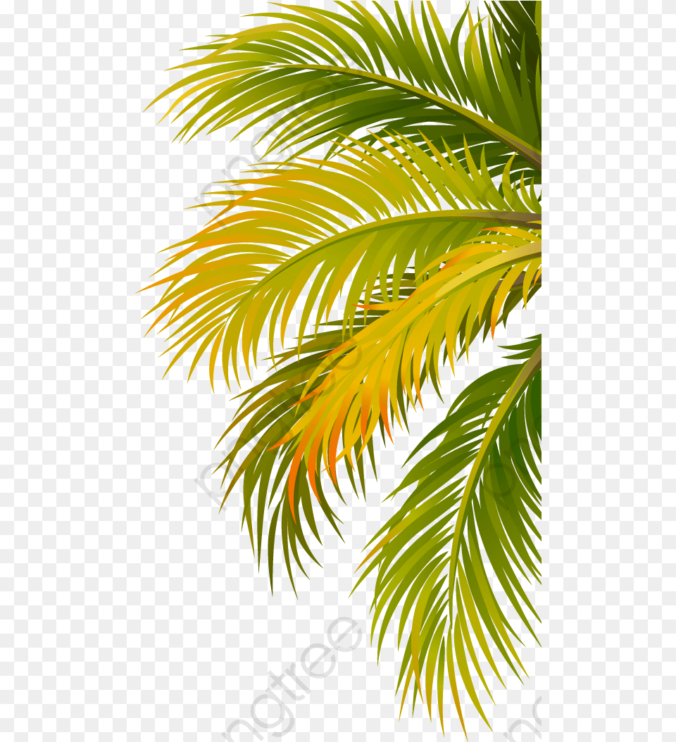 Style Image By Thapa Lshiva Palm Trees Painting Leaf Palm Tree, Palm Tree, Summer, Plant, Vegetation Png