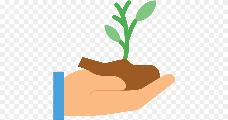 Styleaurora Hands Golding Sprout Vector Portable Network Graphics, Plant, Herbal, Herbs, Leaf Free Png