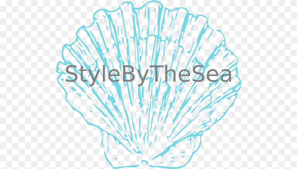 Stylebythesea Shell Icon Fossil Clam Drawing, Animal, Food, Invertebrate, Sea Life Free Png