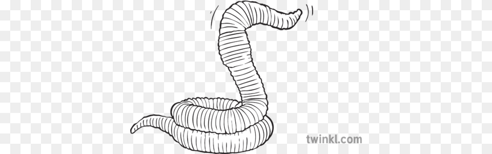 Stylised Earthworm Worm Ks2 Bw Rgb Caterpillar, Animal, Reptile, Snake, Cobra Free Png
