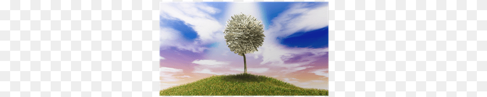 Stylised Money Tree American Dollar Notes On Grassy Banknote, Field, Plant, Outdoors, Nature Free Transparent Png