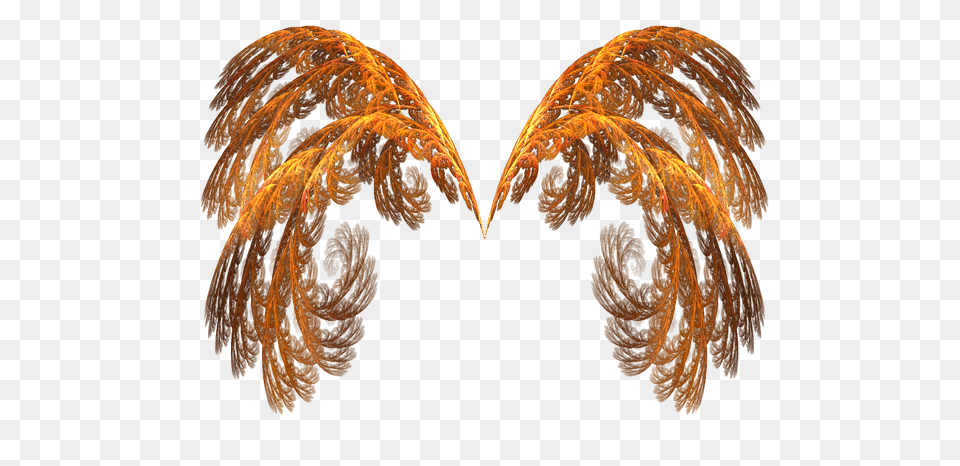 Stylish Editors Bird Wings The Messenger Of God, Accessories, Fractal, Ornament, Pattern Free Png
