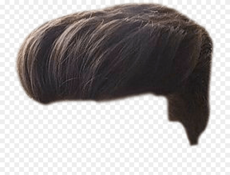Stylish Hair Hd Men Hair Wig, Cushion, Home Decor, Person, Furniture Free Transparent Png