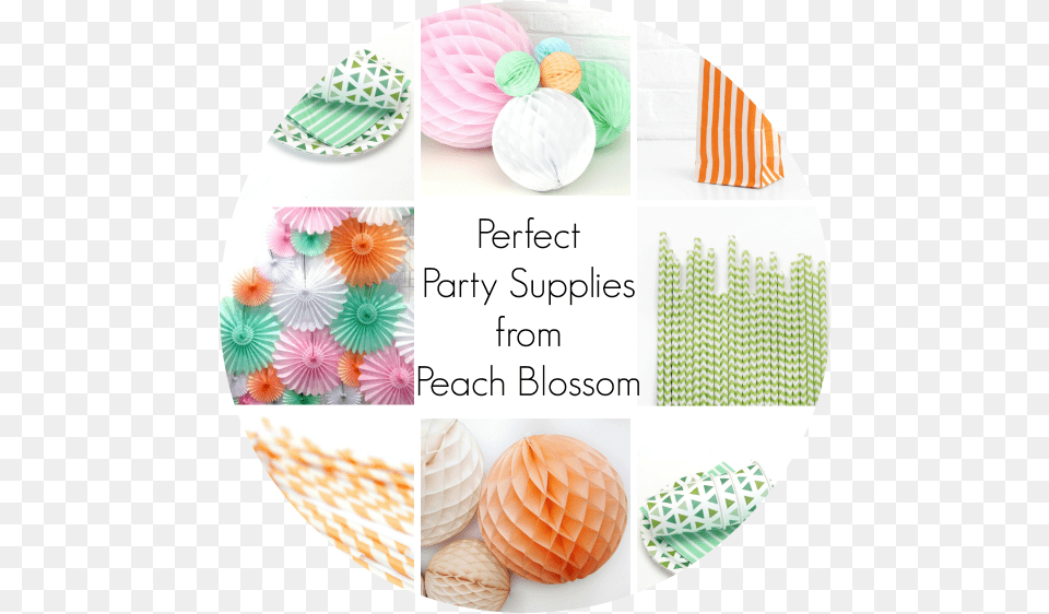 Stylish Party Decorations With Peach Blossom Pastel Paper Ball Decorations, Animal, Invertebrate, Sea Life, Seashell Free Png Download