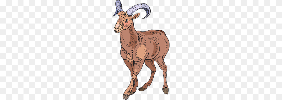 Stylized Animal, Mammal, Livestock, Person Png Image