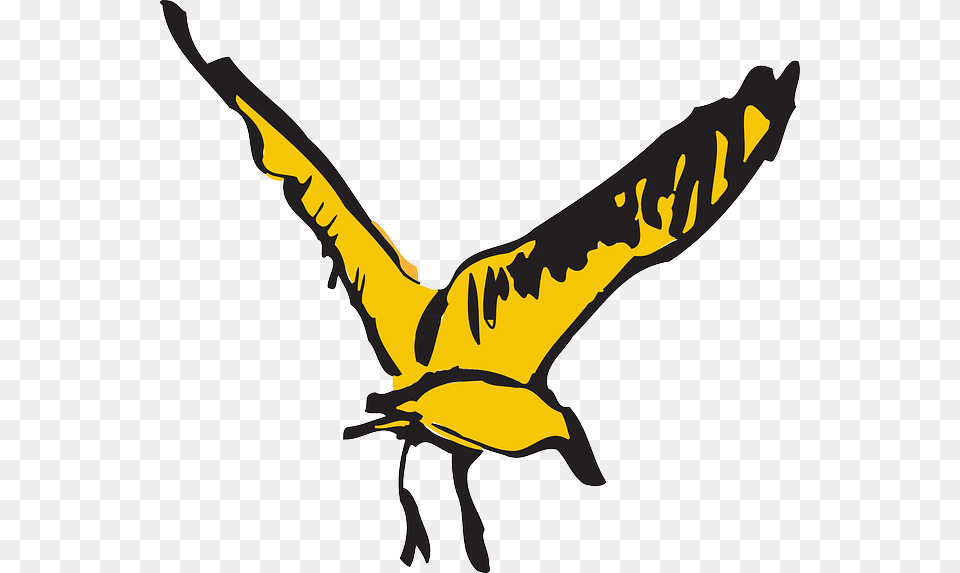 Stylized Bird Flying Wings Art Feathers Fly, Animal, Waterfowl, Beak, Kangaroo Free Transparent Png