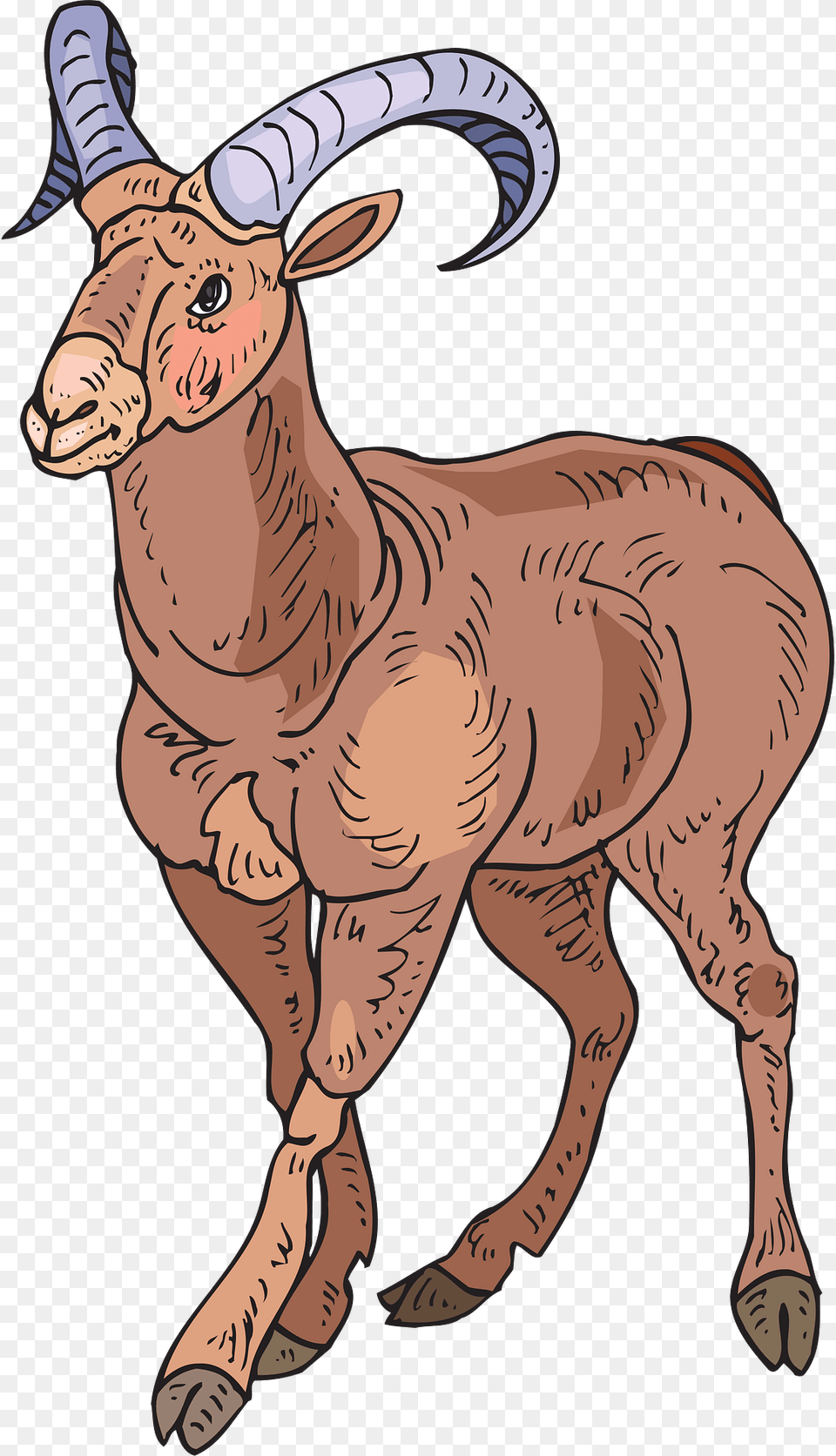 Stylized Clipart, Animal, Mammal, Person, Livestock Free Png Download