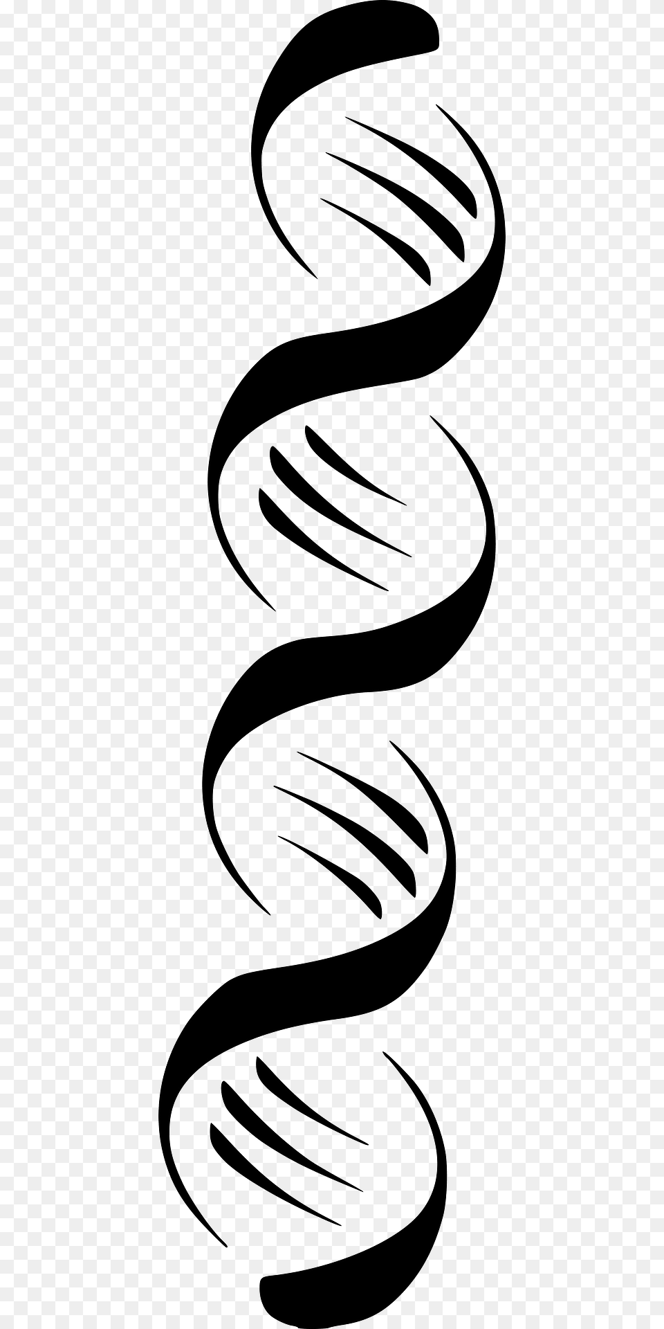 Stylized Dna Clipart, Coil, Spiral Free Png Download