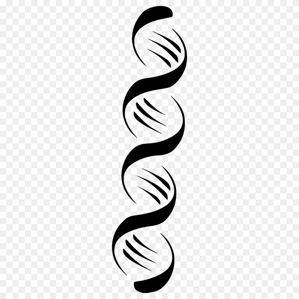 Stylized Dna Strand Icons, Gray Free Png