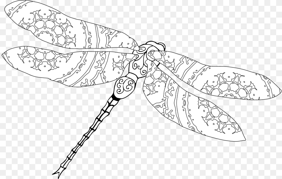 Stylized Dragonfly Clipart, Animal, Insect, Invertebrate, Fish Free Png