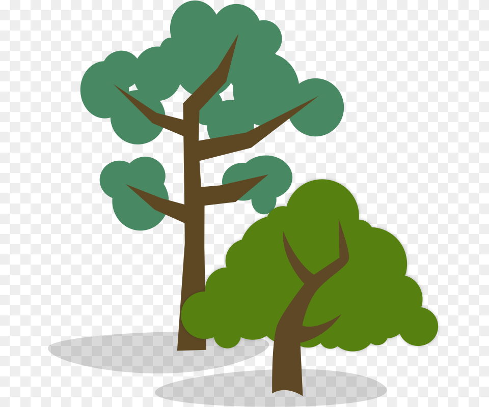 Stylized Illustration Of One Tall And Short Tree Vs Tall Tree, Plant, Vegetation, Nature, Outdoors Free Png Download
