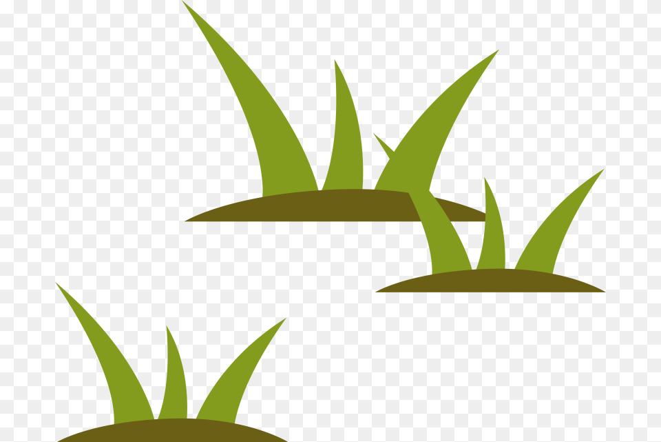 Stylized Wetlands Grass Illustration Grass Illustration, Plant, Potted Plant, Green, Leaf Png Image