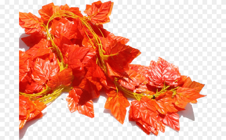 Su Shi Rattan Wall Hanging Fake Flower Vine Decorative Raksha Bandhan, Leaf, Plant, Tree, Maple Free Png