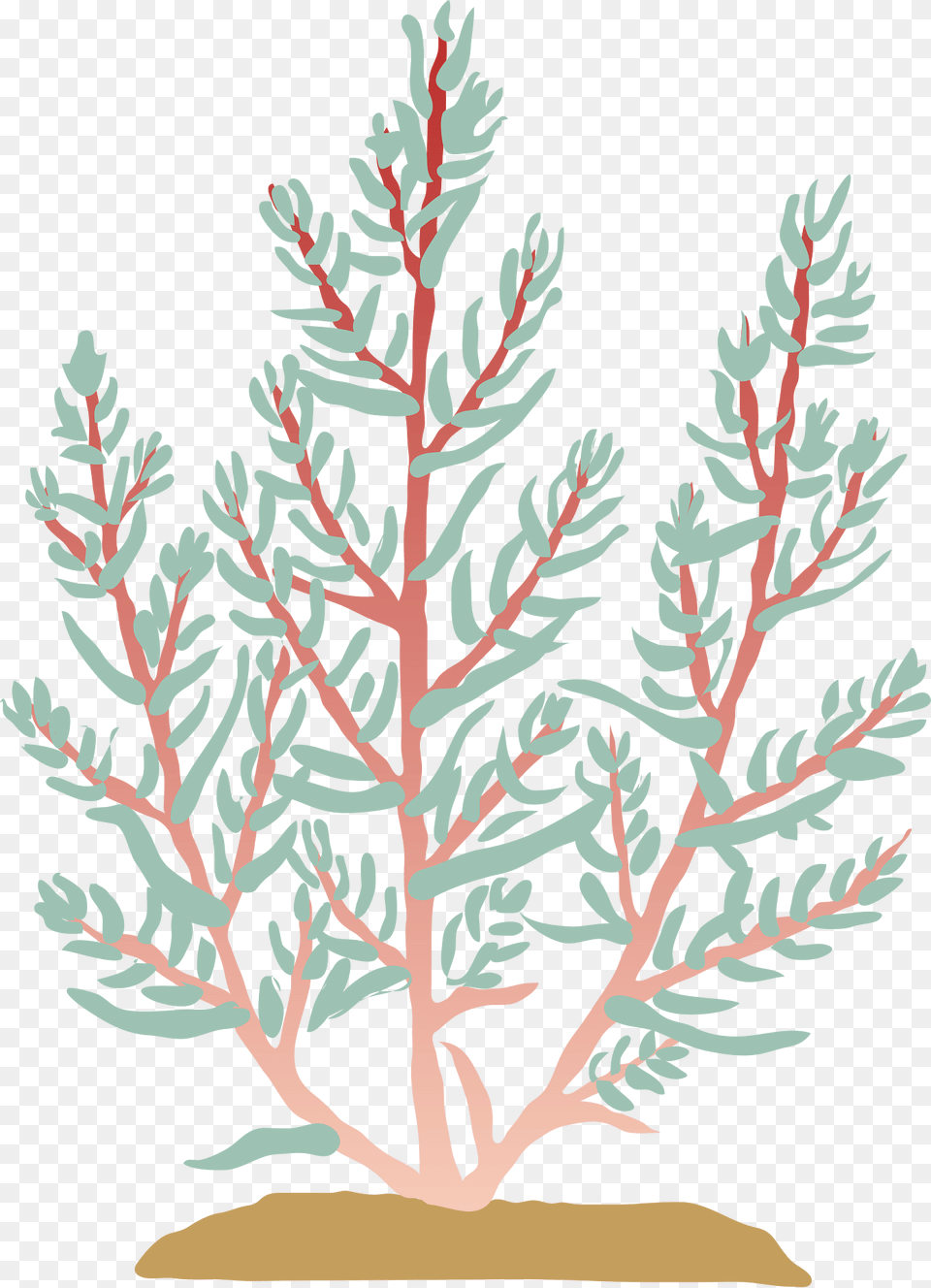 Suaeda Clipart, Vegetation, Tree, Plant, Leaf Png