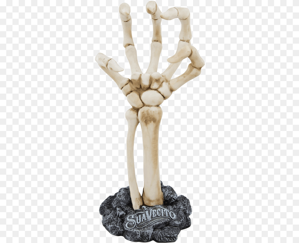 Suavecito Skeleton Hand Display, Person Png