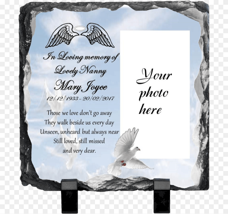 Sublimation Fathers Day Gift, Animal, Bird, Advertisement, Pigeon Png Image