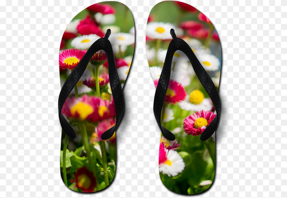 Sublimation Flip Flops, Daisy, Flower, Plant, Clothing Free Png Download