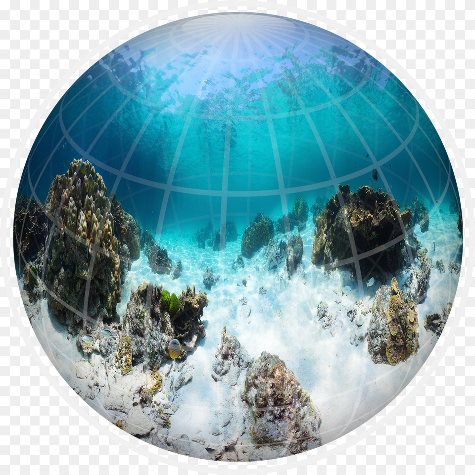 Submapping Dome Free Png