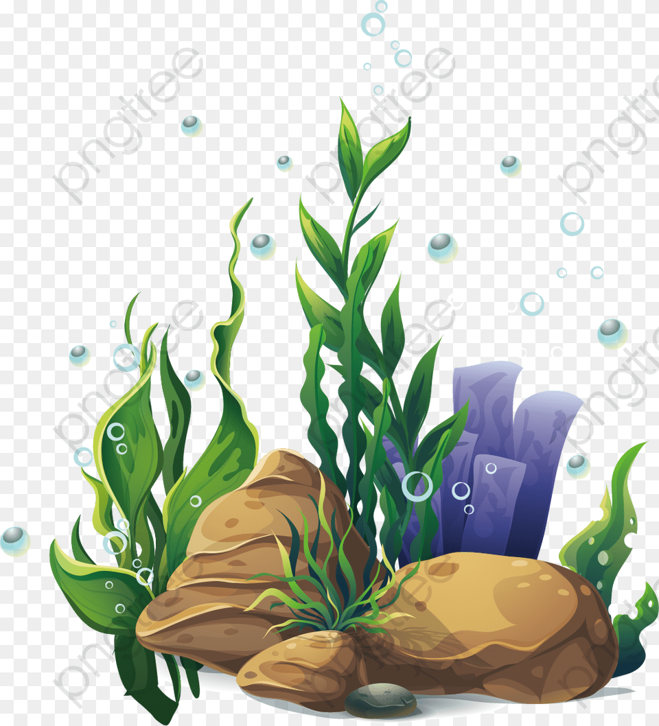 Submarine Plant Seabed, Art, Graphics, Floral Design, Pattern Free Png Download