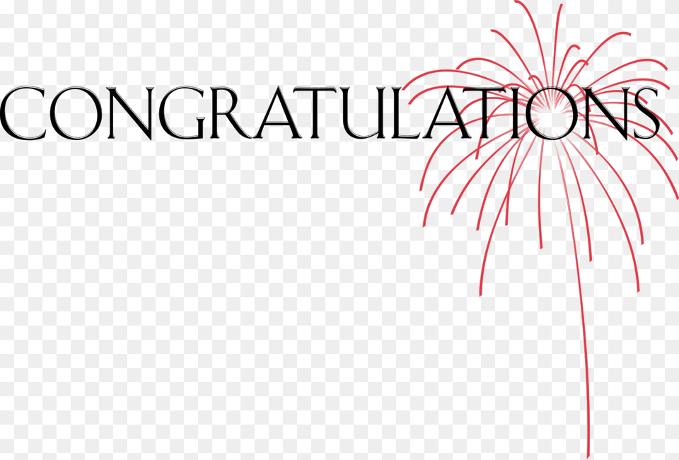 Submit Any Congratulations Information On This Form Congratulations Formal, Fireworks, Blackboard Free Png Download