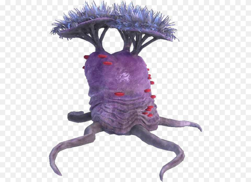 Subnautica Below Zero Subnautica Below Zero Flora, Animal, Invertebrate, Sea Anemone, Sea Life Free Transparent Png