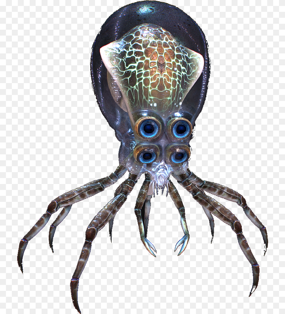 Subnautica Crab Squid Subnautica Crab Squid Drawn, Animal, Insect, Invertebrate, Sea Life Free Png Download
