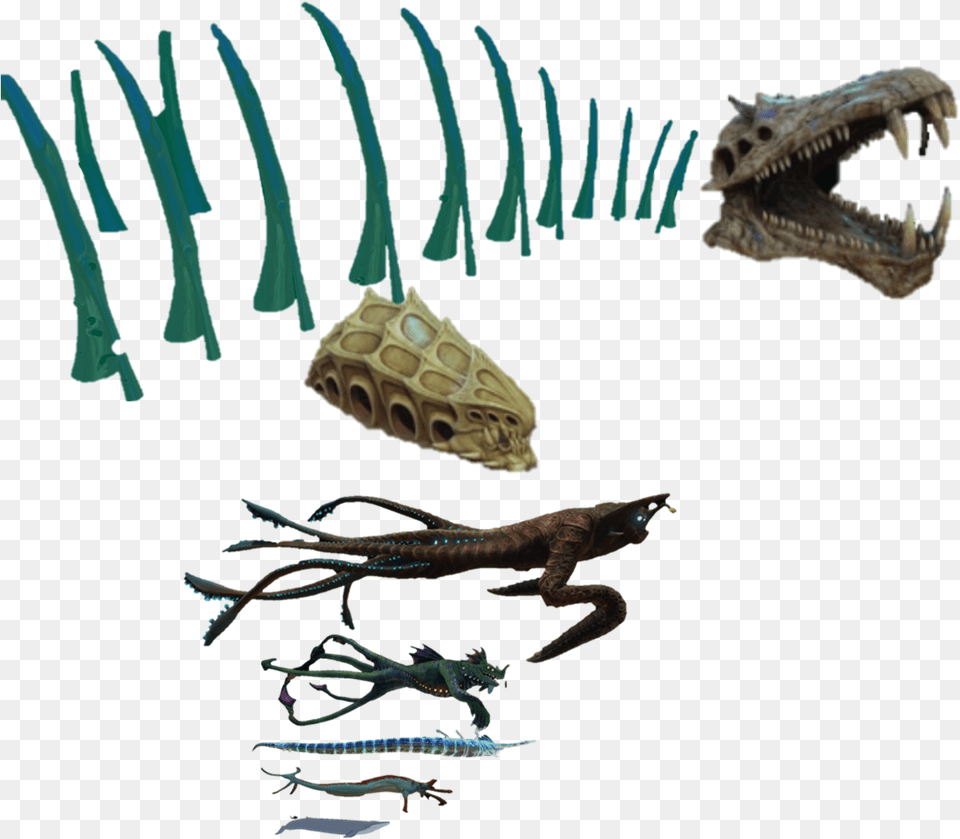 Subnautica Size Comparison Chart Human, Animal, Dinosaur, Lizard, Reptile Free Png Download