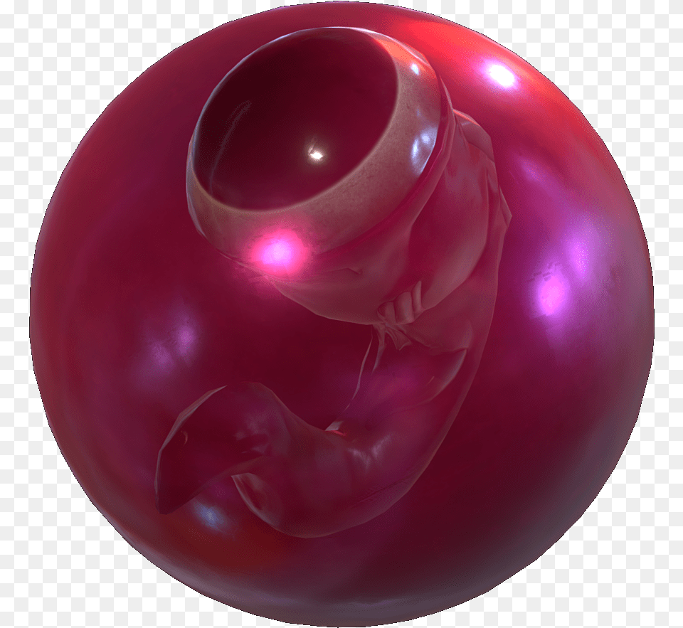 Subnautica Wiki Red Creature Egg Subnautica, Sphere, Ball, Bowling, Bowling Ball Png
