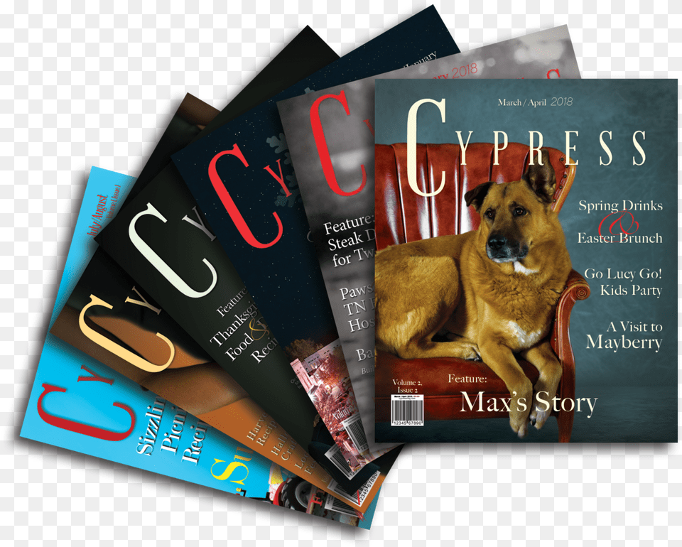 Subscribe, Advertisement, Poster, Animal, Canine Png Image