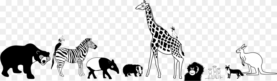 Subscribe Giraffe, Animal, Mammal, Wildlife, Zebra Png
