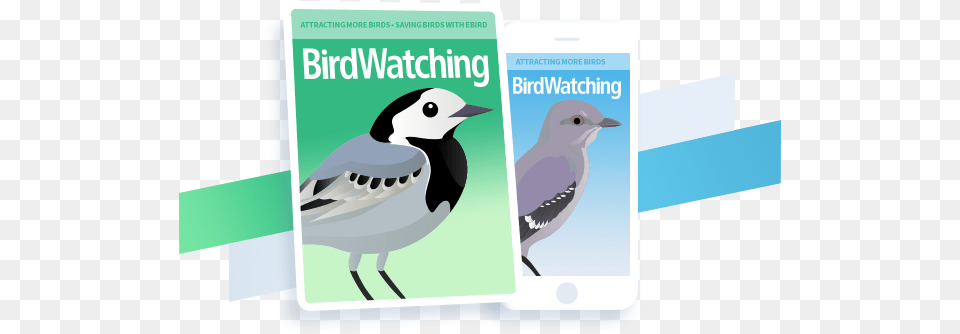 Subscribe Now Old World Flycatcher, Animal, Bird, Jay, Advertisement Png