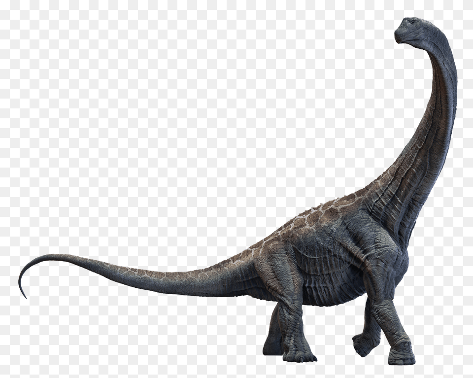 Subscribe Our Youtube Channel Like Facebook, Animal, Dinosaur, Reptile, T-rex Png