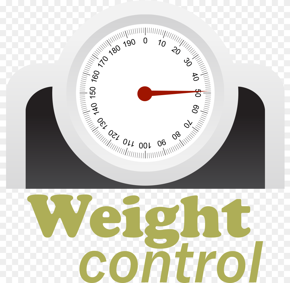 Subscribe To E Picks Newsletter Weight Control, Gauge, Mace Club, Weapon Png Image